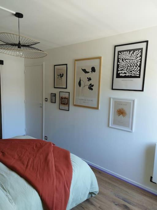 Appartement Au Coeur De Paimpol Buitenkant foto